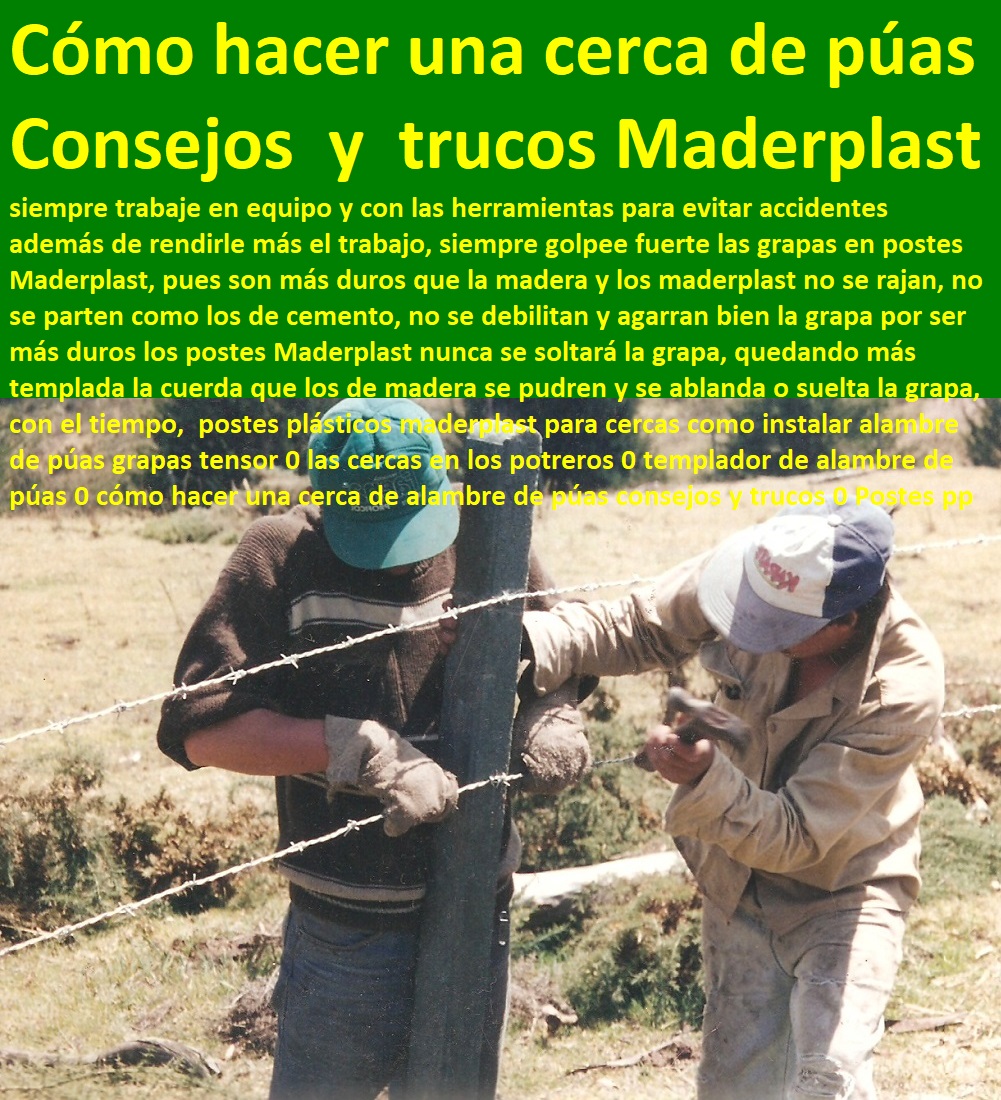postes plásticos maderplast para cercas como instalar alambre de púas grapas tensor 0 las cercas en los potreros 0 templador de alambre de púas 0 cómo hacer una cerca de alambre de púas consejos y trucos 0 Postes pp postes plásticos maderplast para cercas como instalar alambre de púas grapas tensor 0 las cercas en los potreros 0 templador de alambre de púas 0 cómo hacer una cerca de alambre de púas consejos y trucos 0 Postes pp postes plásticos maderplast para cercas como instalar alambre de púas grapas tensor 0 las cercas en los potreros 0 templador de alambre de púas 0 cómo hacer una cerca de alambre de púas consejos y trucos 0 Postes pp